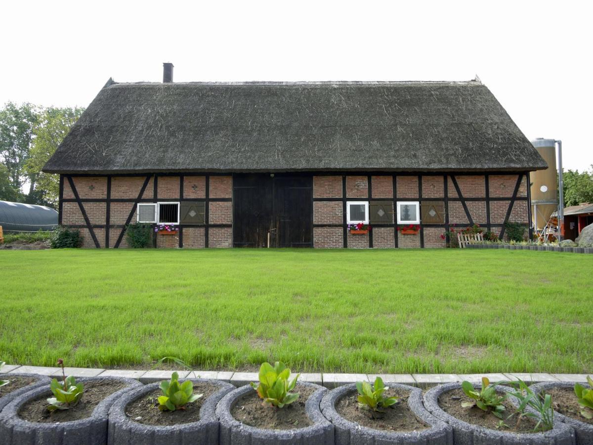 Ferienwohnungen Am Reiterhof Sallenthin Neu Sallenthin Kültér fotó